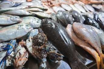 水産物の写真