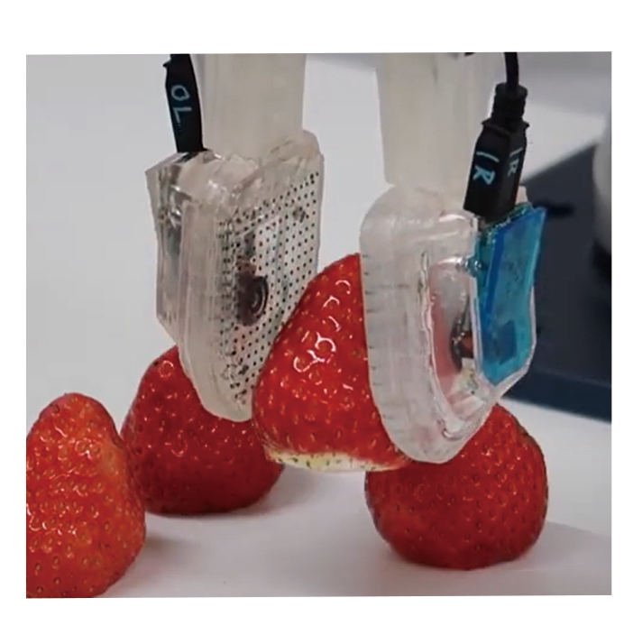 Vision-based tactile sensor