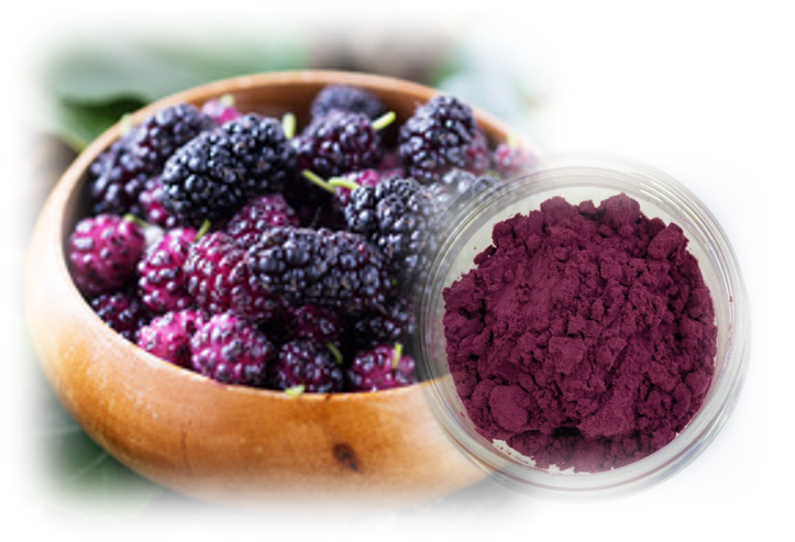 Superfood Powder