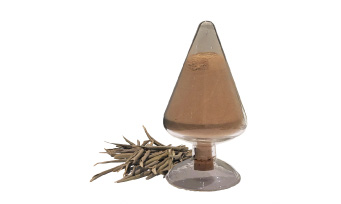 HIF1STEM