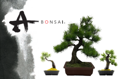 A-BONSAI (Artificial Bonsai)