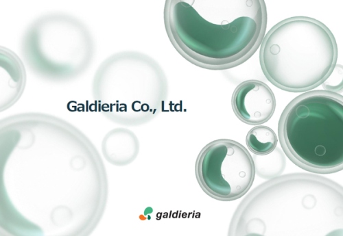 image of company leaflet
