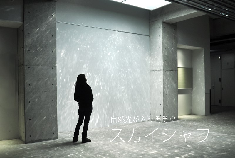 自然光を拡散させ、木漏れ日のような穏やかな空間を演出する「スカイシャワー」。他にはない空間創造の可能性を広げる。