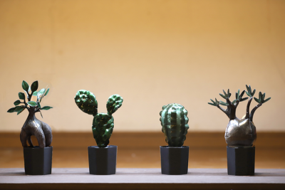 QooSo Plants&reg;（クウソープランツ）