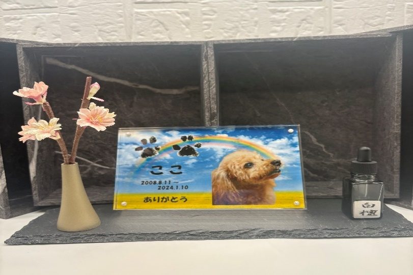 花から香るアロマディフューザーリードスティックの写真2