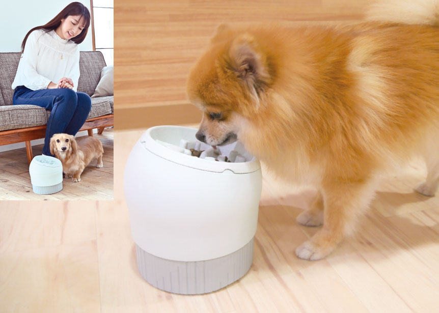 愛犬の健康長寿に貢献するヘルスケア食器「La La Dish」