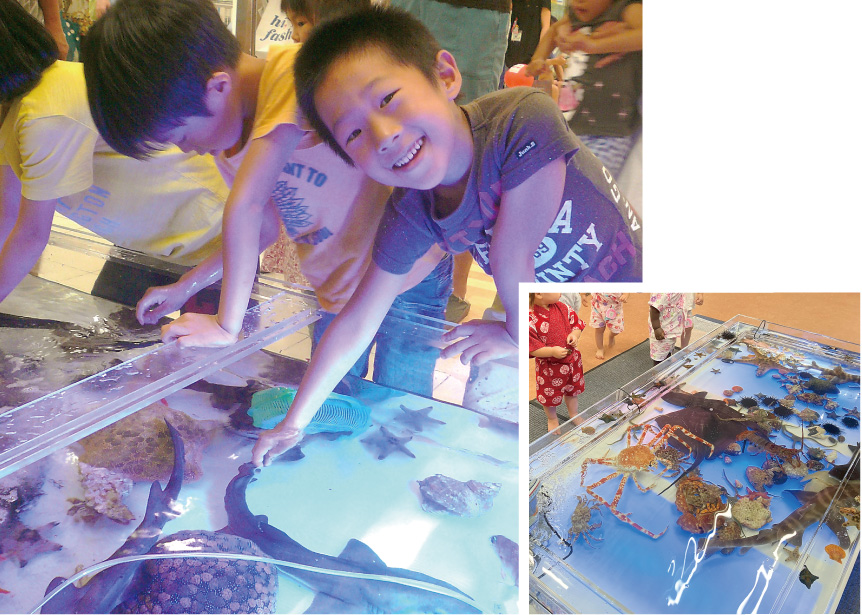 出張!たっちんぐぷーる