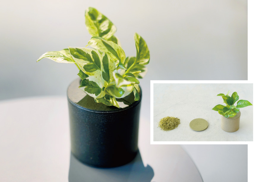 Rebbur(リバー) プランター