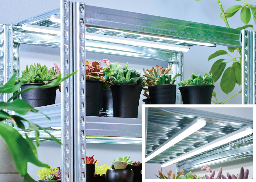 プラントテラス580