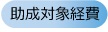 主な対象経費