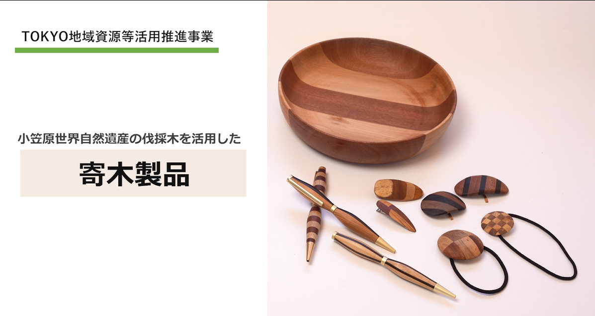 小笠原エコツーリズムリゾートの動画へリンク
