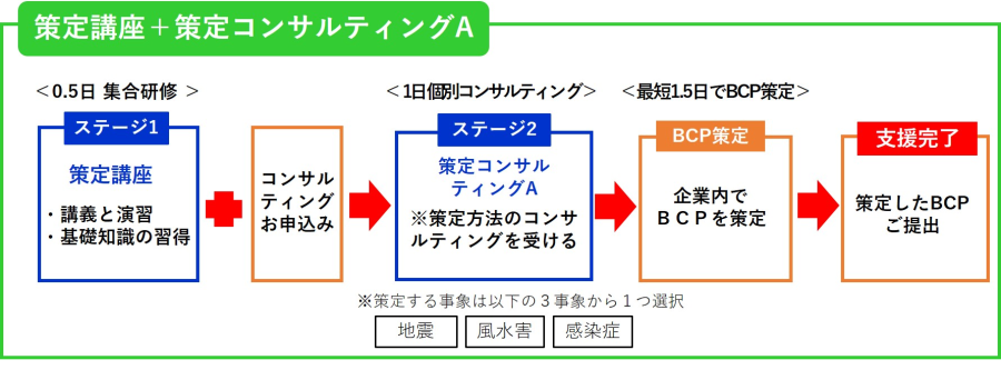 策定講座＋策定コンサルティングA