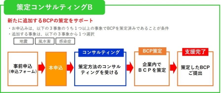 策定コンサルティングBフロー