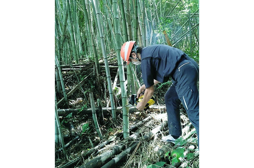竹の歯ブラシに使用する竹材は、工場に隣接する竹林から従業員自ら伐採。
