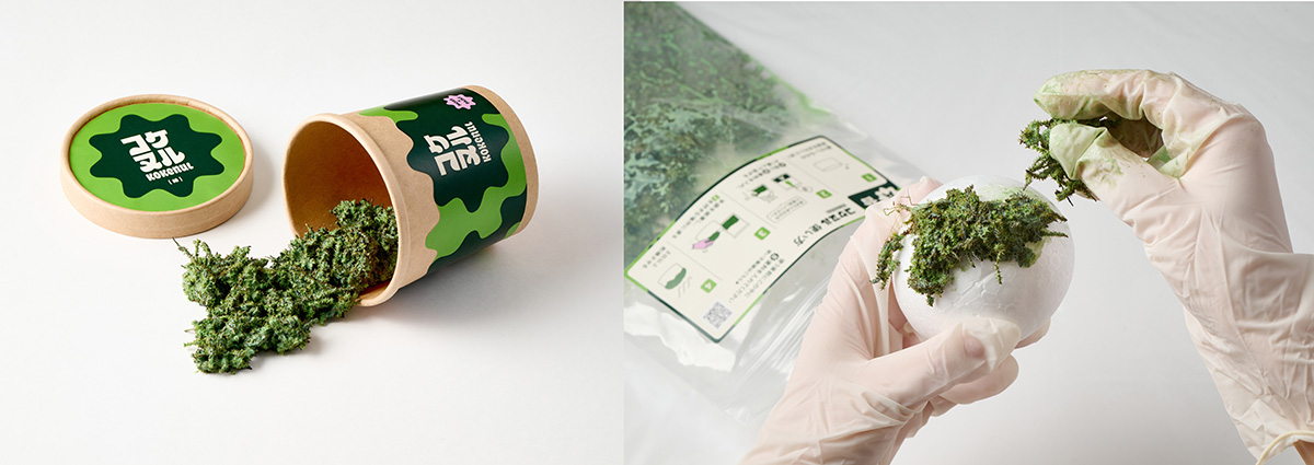 コケでできた植物塗料「コケヌル」